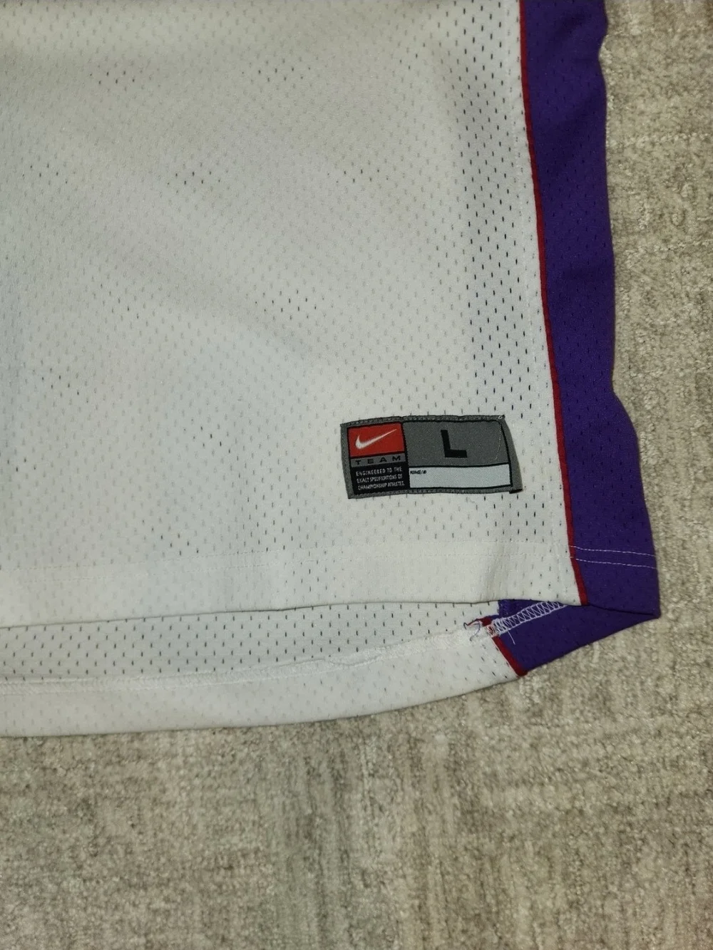 Vince Carter Toronto Raptors Nike Team Apparel Embroidered Jersey Men's Size Lar